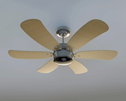 Your Air Conditioner And Ceiling Fans: Together, They Work Better