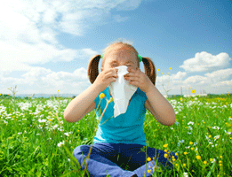 Keep Spring Allergies at Bay With These 9 Indoor Air Quality Tips