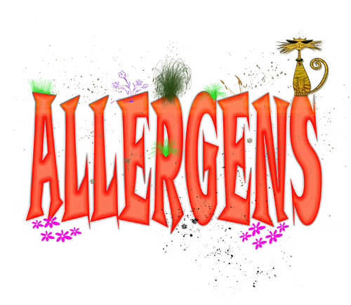 Don't Let Fall Allergies Get You Down; Filter The Allergens