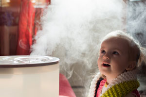 Tips on How to Compare Whole-Home Humidifiers