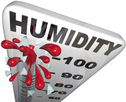 Have a Professional Perform a Humidity Test in Your Fort Wayne Home