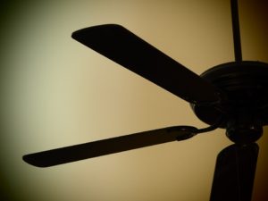 Ceiling Fans for Cooling Efficiency