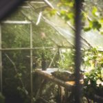 Permalink to How to Have the Best Greenhouse Ventilation How to Have the Best Greenhouse Ventilation