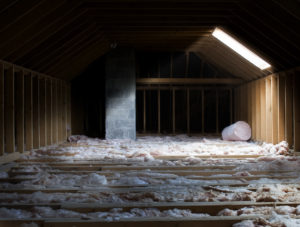 Summer Safety in Attics