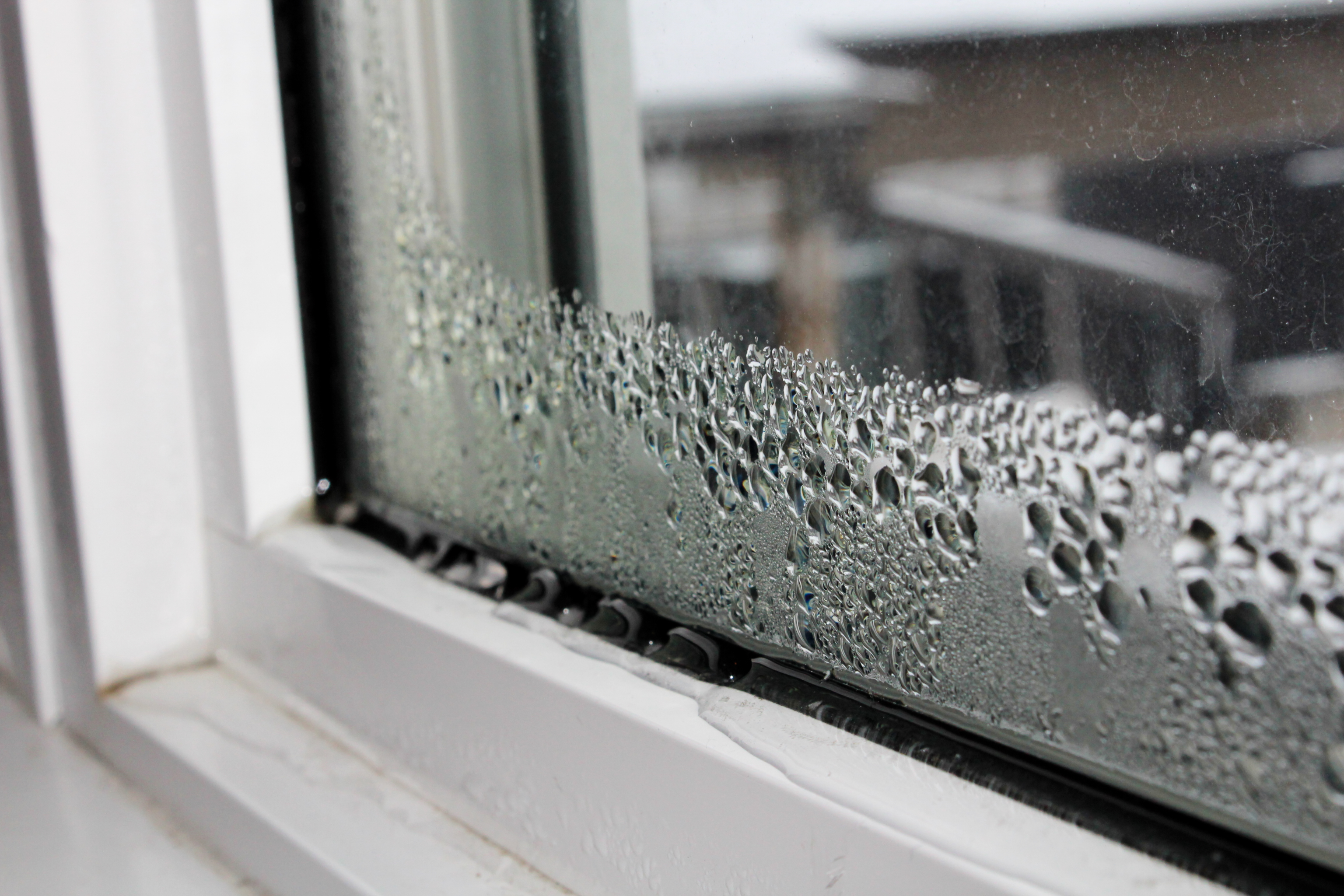 Window insulation