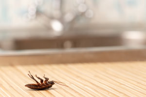 How Your HVAC Can Help with Bug Control