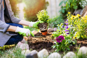 Can Gardening Improve Your HVAC Performance?