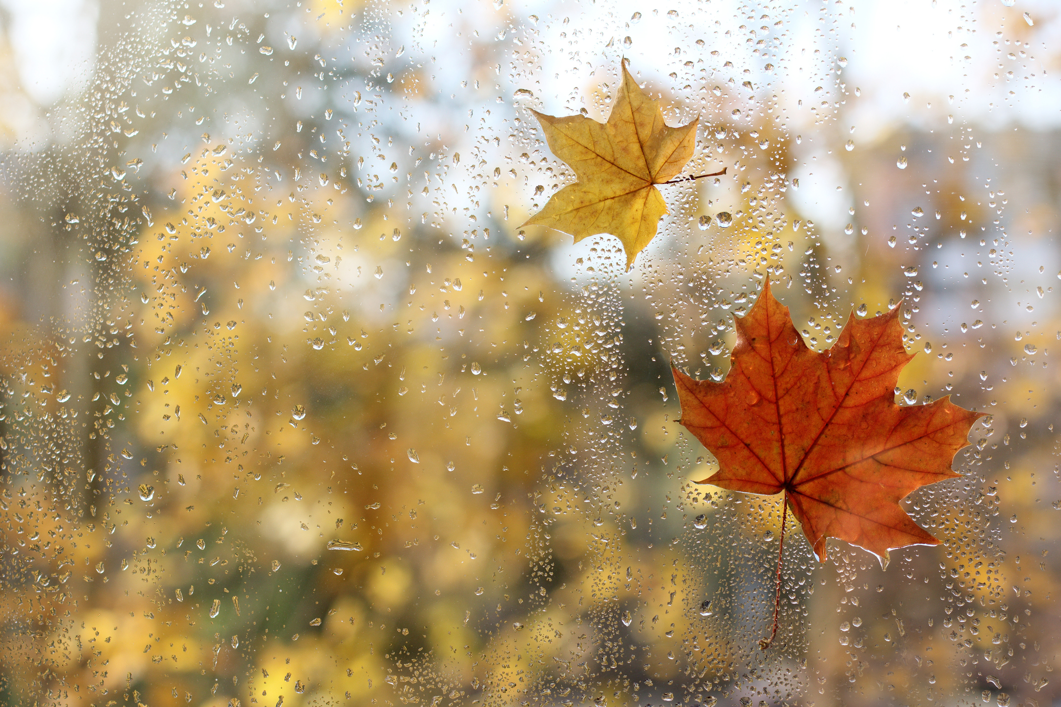 How to Prepare Your Home & HVAC System for the Winter Season