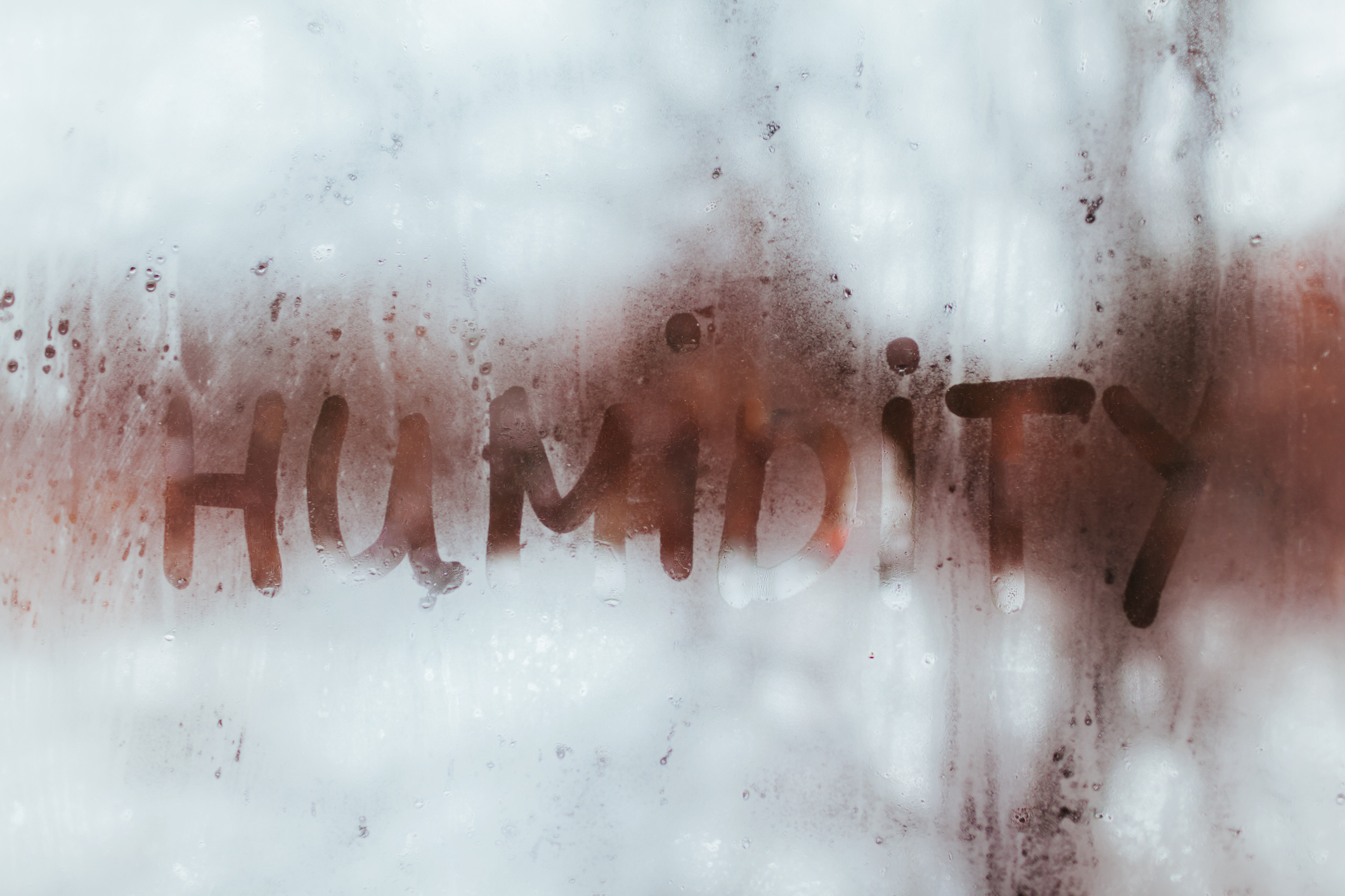 Find Your Perfect Home Humidity Levels